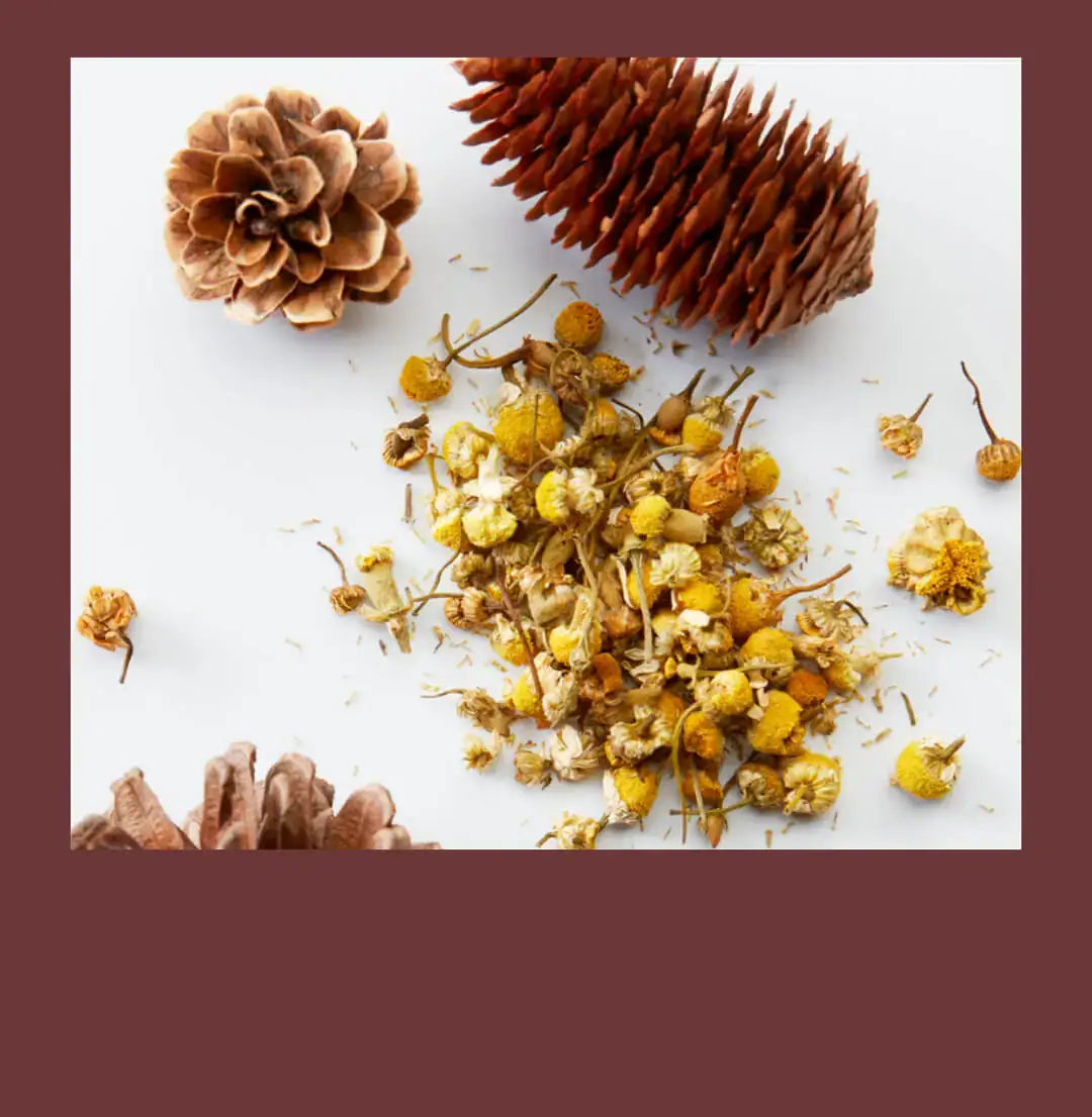 3-In-1 Chamomile Pine Department of Wellness